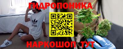 PSILOCYBIN Кинель