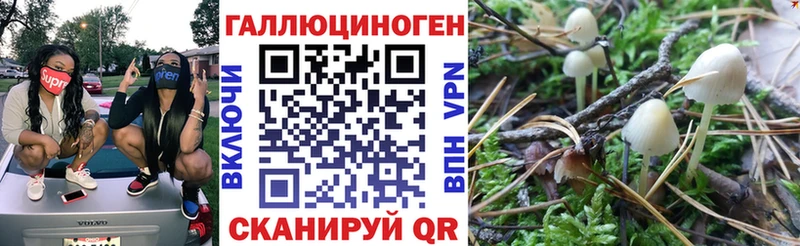 магазин    Менделеевск  Псилоцибиновые грибы мицелий 