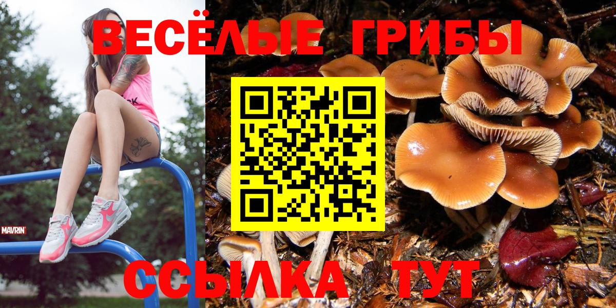 Галлюциногенные грибы MAGIC MUSHROOMS  Псилоцибиновые грибы Psilocybe  Менделеевск  Вход с VPN 