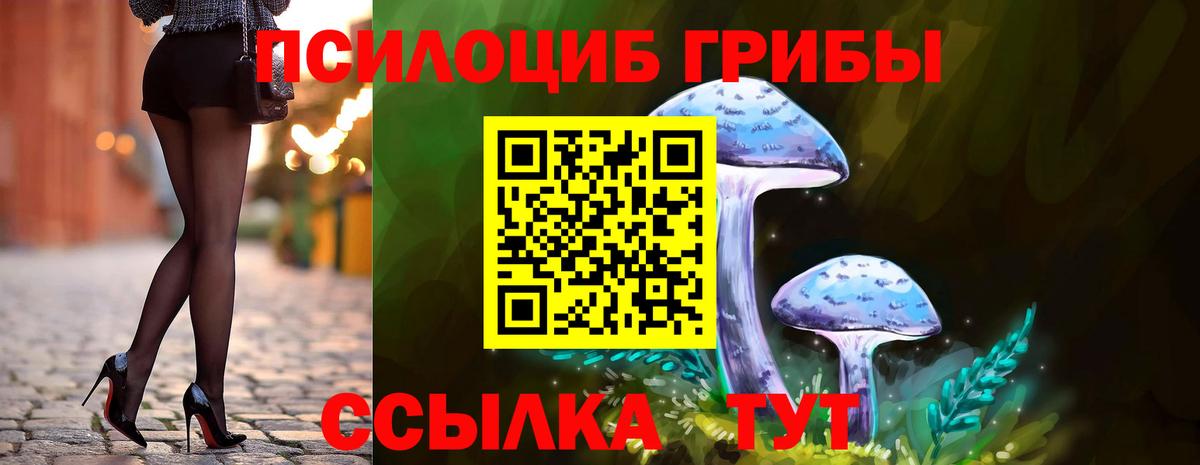 Галлюциногенные грибы Psilocybe Менделеевск